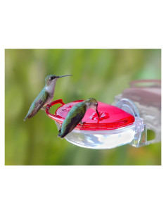Alimentador de Colibríes de Ventana Aspects 118 ml Modelo 437