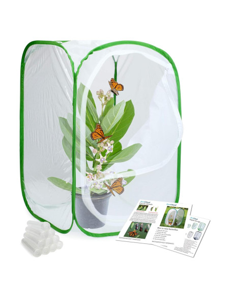 Jaula de Hábitat para Mariposas Restcloud 40x40x60 cm Plegable