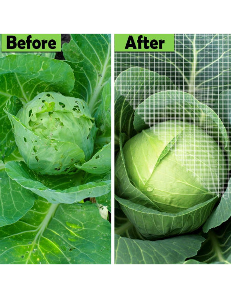 Malla de Insectos Garnnet 10x33ft para Jardín y Huertos