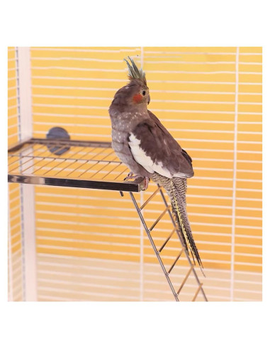 Juego de 2 Piezas Plataforma y Escalera Acero Inoxidable Nopikku