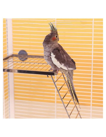 Juego de 2 Piezas Plataforma y Escalera Acero Inoxidable Nopikku