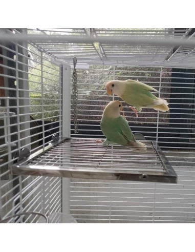 Juego de 2 Piezas Plataforma y Escalera Acero Inoxidable Nopikku