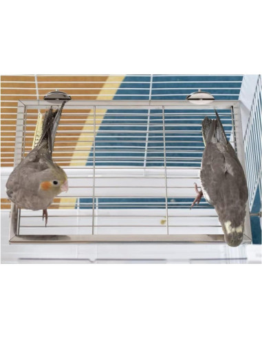 Juego de 2 Piezas Plataforma y Escalera Acero Inoxidable Nopikku