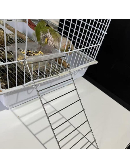 Juego de 2 Piezas Plataforma y Escalera Acero Inoxidable Nopikku