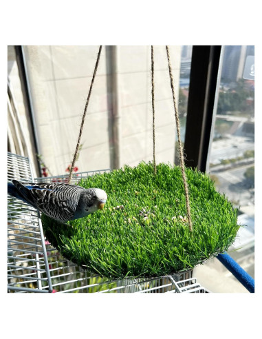 Alfombra de Forrajeo para Aves FlidRunest 43.9x23.9cm Hierba Natural