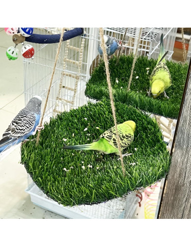 Alfombra de Forrajeo para Aves FlidRunest 43.9x23.9cm Hierba Natural
