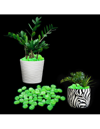 200 Piedras Brillantes en la Oscuridad TOSAMZOO para Jardín