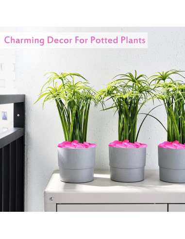 Piedras Brillantes para Jardín 1100pc Rosa Kaiyuan Dynasty