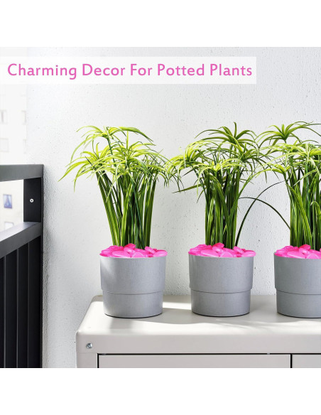 Piedras Brillantes para Jardín 1100pc Rosa Kaiyuan Dynasty