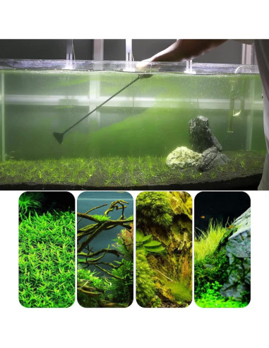 Raspador de Algas Ajustable SXMYSH 90cm Aluminio Negro