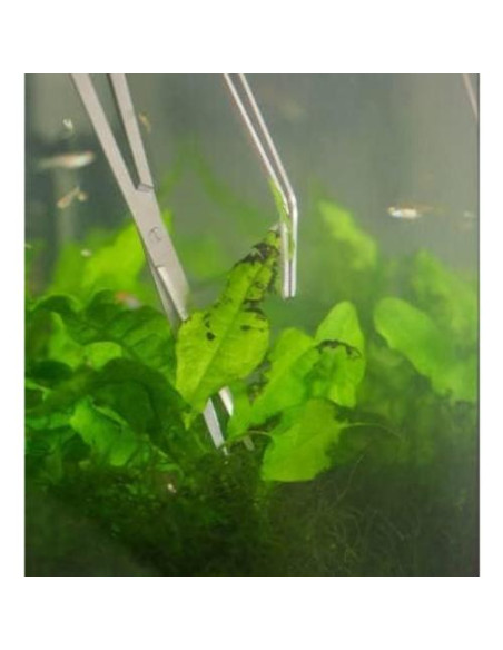 Herramientas de Acuario A2Z - Pinzas y Tijeras 30.48 cm