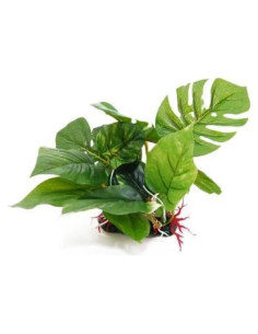 Planta Plástica CNZ para Acuario y Terrario 17.78 cm