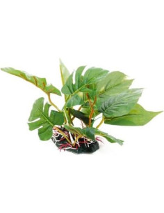 Planta Plástica CNZ para Acuario y Terrario 17.78 cm 2