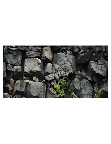 Fondo de Acuario AWERT 120x60 cm Vinilo Realista