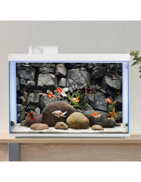 Fondo de Acuario AWERT 120x60 cm Vinilo Realista