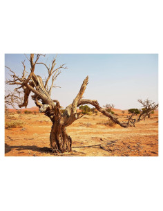 Fondo de Acuario Riivvdise 120x60 cm Vinilo Duradero