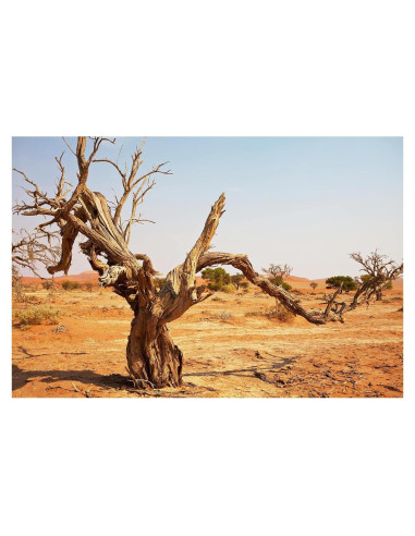 Fondo de Acuario Riivvdise 120x60 cm Vinilo Duradero