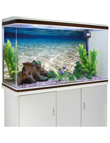 Fondo de Acuario 90x60 cm Vinilo AWERT Océano Submarino