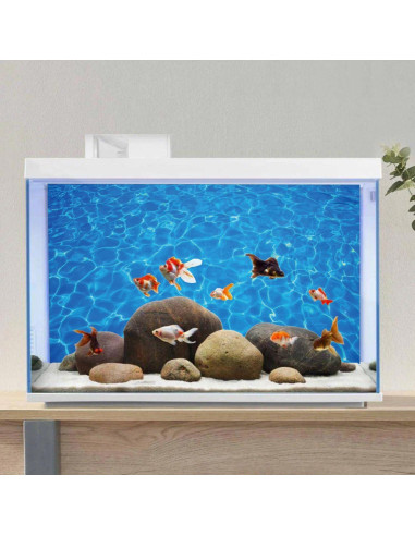 Fondo de Acuario AWERT 120x60 cm Azul Raspado HD