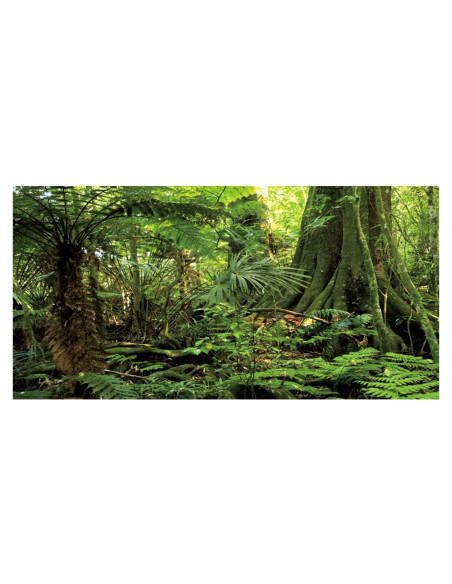 Fondo de Acuario Terrario AWERT 120x60cm Bosque Verde