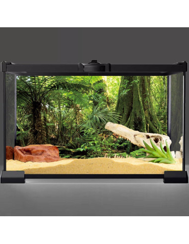 Fondo de Acuario Terrario AWERT 120x60cm Bosque Verde