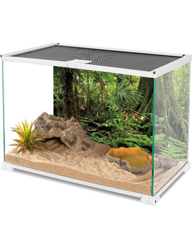 Fondo de Acuario Terrario AWERT 120x60cm Bosque Verde