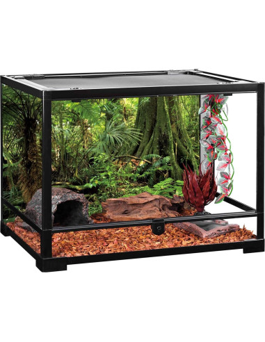 Fondo de Acuario Terrario AWERT 120x60cm Bosque Verde