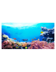 Fondo de Acuario Vinilo AWERT 120x60 cm Coral Tropical