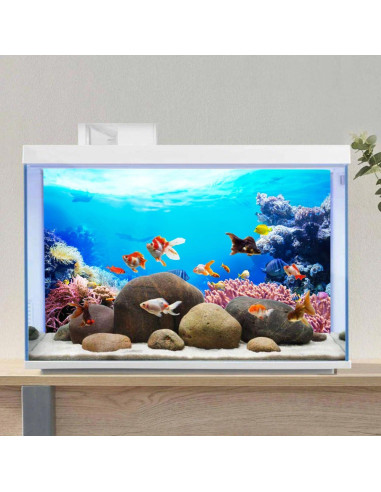 Fondo de Acuario Vinilo AWERT 120x60 cm Coral Tropical