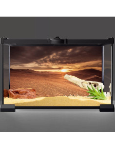 Fondo de Terrario AWERT 90x45 cm Cielo Azul y Arena 2