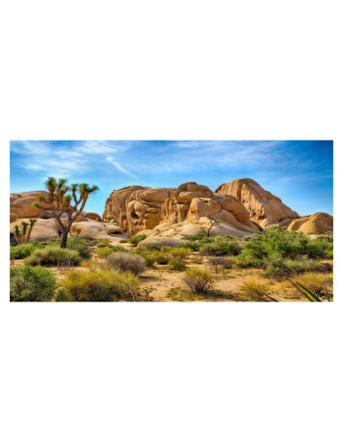 Fondo de Poliester CSFOTO 76x30 cm Desierto Joshua Tree