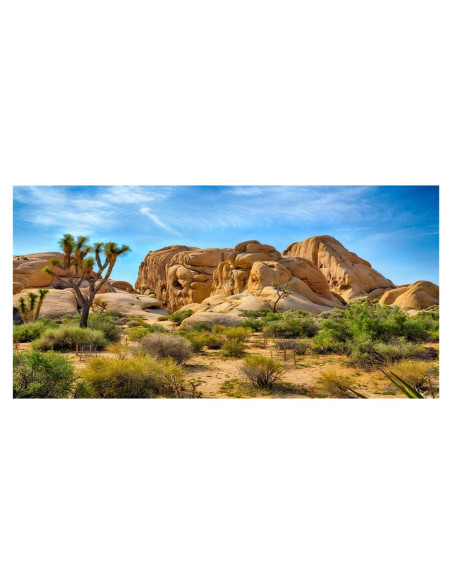 Fondo de Poliester CSFOTO 76x30 cm Desierto Joshua Tree