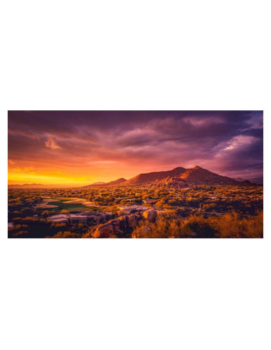 Fondo de Terrario AWERT 60x40 cm Vinilo Oasis Desierto