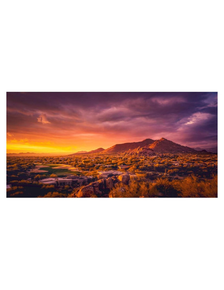 Fondo de Terrario AWERT 60x40 cm Vinilo Oasis Desierto