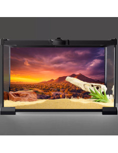 Fondo de Terrario AWERT 60x40 cm Vinilo Oasis Desierto 2