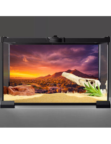 Fondo de Terrario AWERT 60x40 cm Vinilo Oasis Desierto