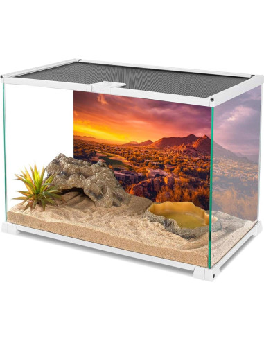 Fondo de Terrario AWERT 60x40 cm Vinilo Oasis Desierto