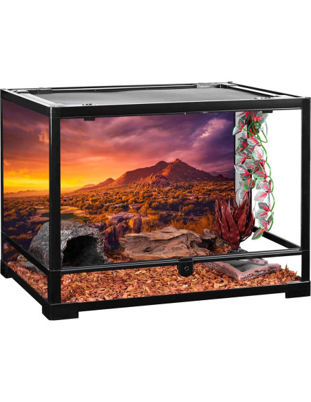 Fondo de Terrario AWERT 60x40 cm Vinilo Oasis Desierto