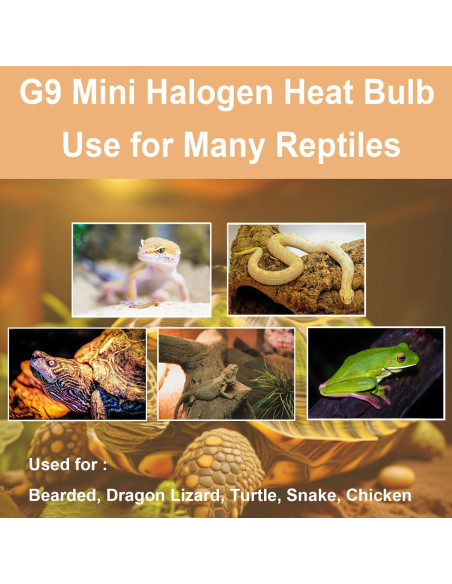 Bombillas de Calor G9 Halógenas 25W para Reptiles - Paquete de 2