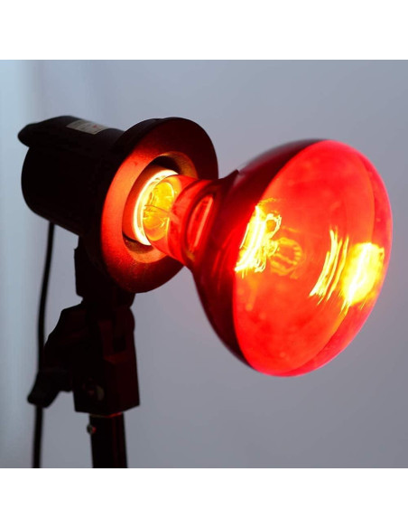 Bombilla de Calor Infrarroja BONGBADA R95 100W E26 Rojo