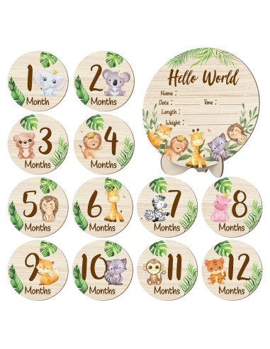 Tarjetas de Hitos Mensuales de Madera XLSXEXCL - 7 Piezas