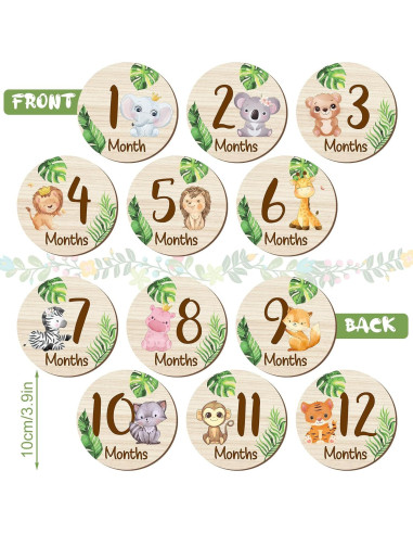 Tarjetas de Hitos Mensuales de Madera XLSXEXCL - 7 Piezas