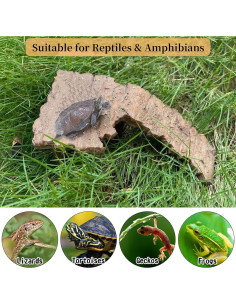 Plataforma Flotante para Tortugas Fhiny - Rampa de Sol 19.8x15cm 2