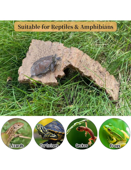 Plataforma Flotante para Tortugas Fhiny - Rampa de Sol 19.8x15cm