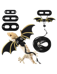 Conjunto Correa y Arnés Ajustable Dragón Barbudo Quilax