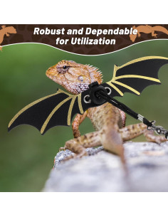 Conjunto Correa y Arnés Ajustable Dragón Barbudo Quilax 2