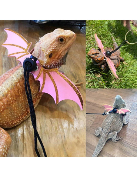 Arnés Ajustable para Reptiles MiOYOOW - Dragón Barbudo y Más