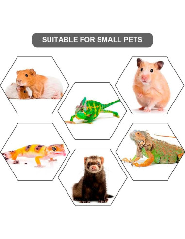 Arnés Ajustable para Reptiles MiOYOOW - Dragón Barbudo y Más