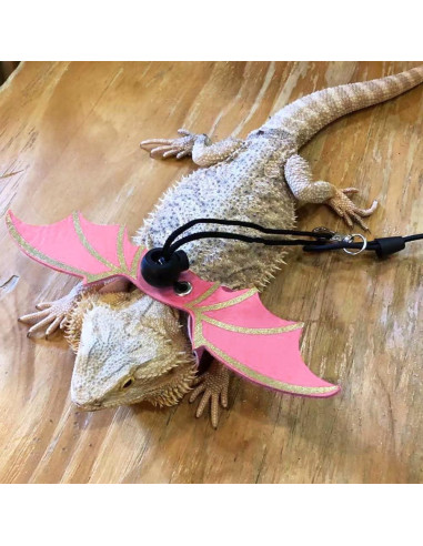 Arnés Ajustable para Reptiles MiOYOOW - Dragón Barbudo y Más