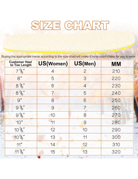 Riemot Plantillas de Espuma de Memoria para Zuecos - Beige Talla 37